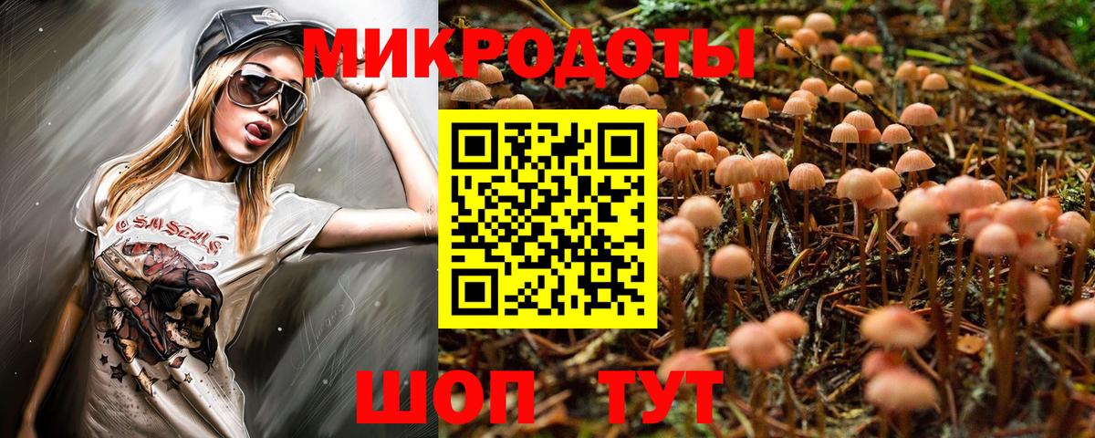 Галлюциногенные грибы Magic Shrooms  Псилоцибиновые грибы MAGIC MUSHROOMS  Вход с VPN  как найти закладки  Родники 